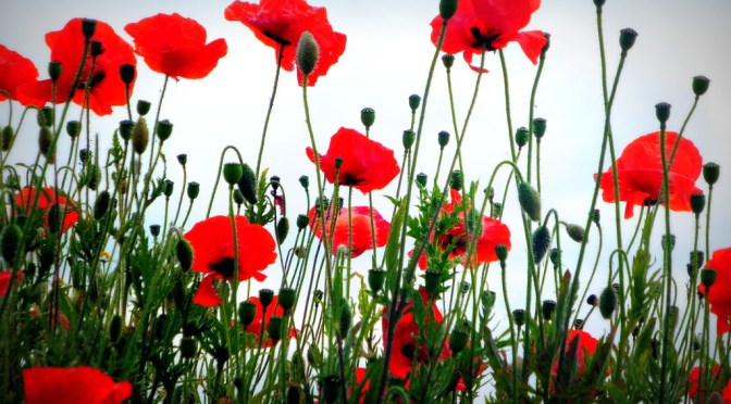 Remembrance Services