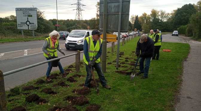 Looking forward to spring