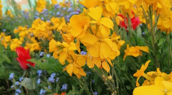 Farnham Flower Festival 2021