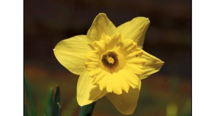 Your March magazine is here