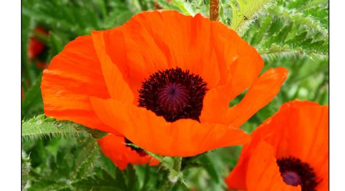 The November magazine is here