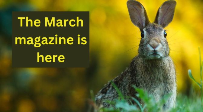 A March hare and a March magazine