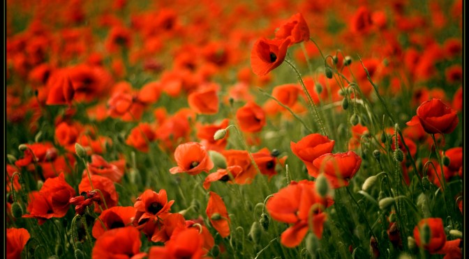 Your November Magazine is Here