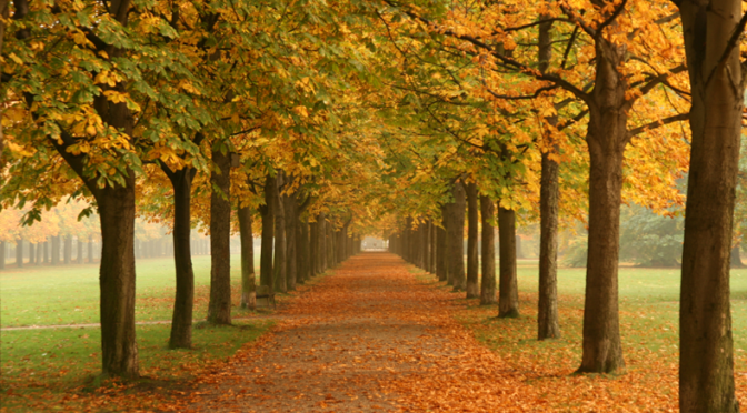 Your October magazine is here