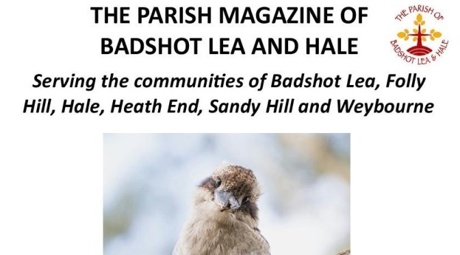 Your February Magazine is here