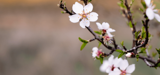 Your February Magazine is Here!