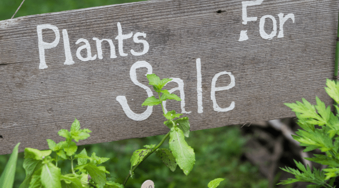 Plant Sale