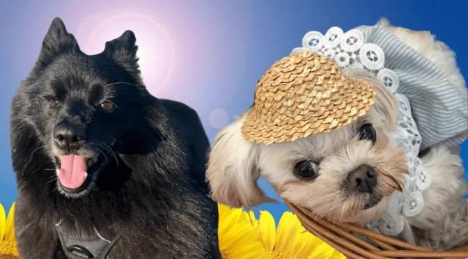 Your July/August magazine is here