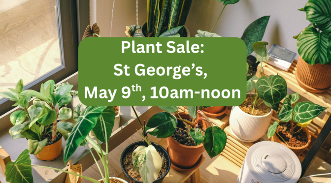 Plants for sale
